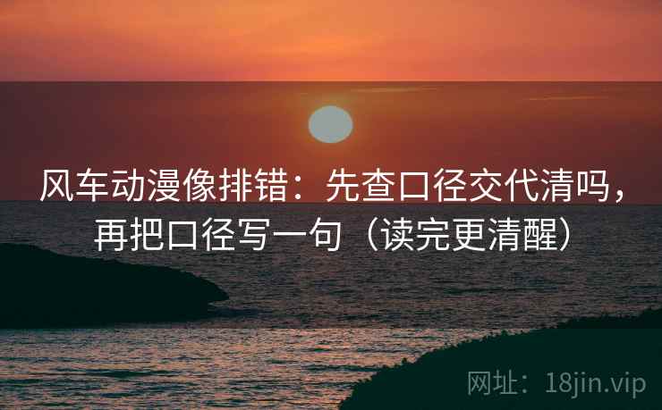 风车动漫像排错：先查口径交代清吗，再把口径写一句（读完更清醒）